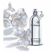 Montale Mango Manga